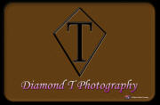 Diamond T Photography